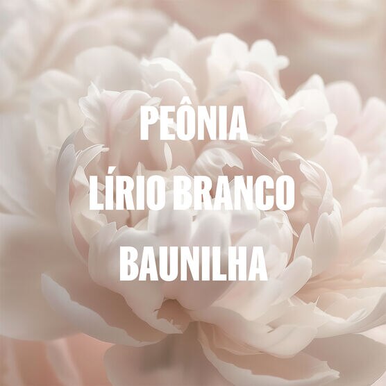 WELLA OIL  REF SHP 250 M SHAM 250ML